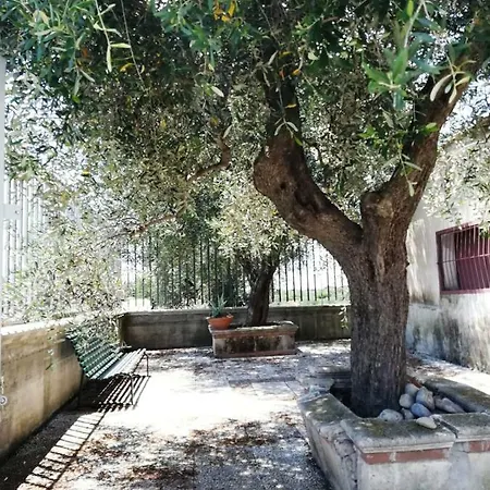 Corte Degli Ulivi * 皮斯蒂奇